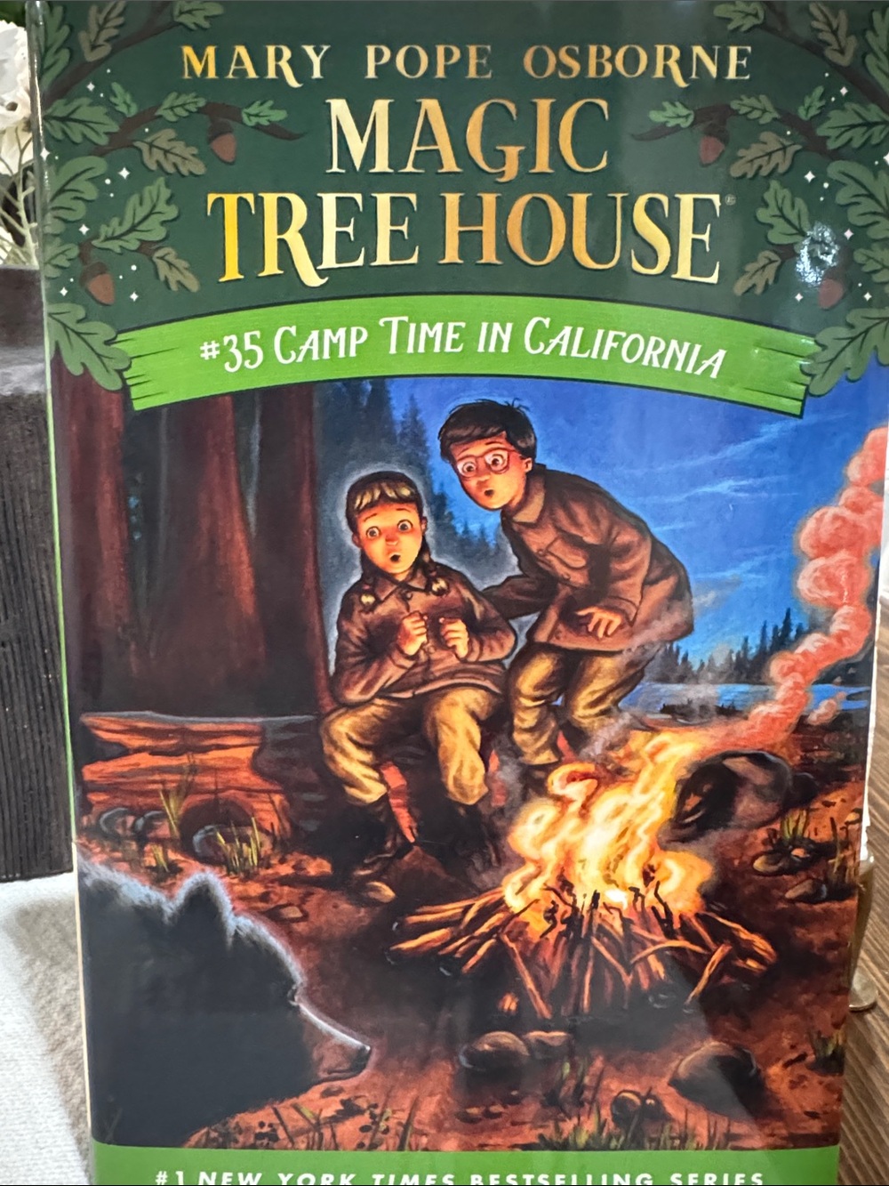 Mary Pope Osborne Magic Tree House #35 Camp Time in California - Green Cover